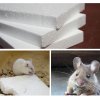 Пенопласт для утепления стен мыши не едят