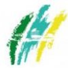 Название предприятия Название предприятия