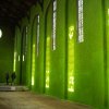травяные стены в заброшенной церкви 