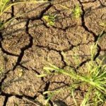Засуха в Англии заставляет жителей страны экономить воду